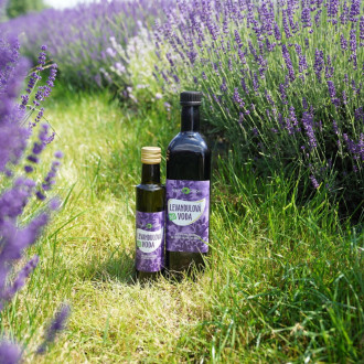 PURITY VISION Bio Levandulová voda 1 l
