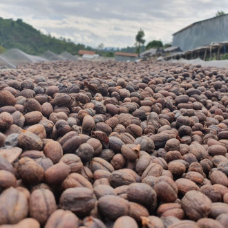 Fair Trade Bio Zrnková káva Etiopie Sidamo 1 kg